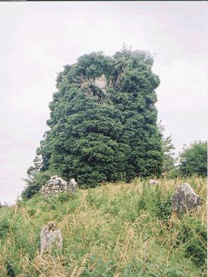 12_01_daltonburialground.jpg - Ivy covered tower with the mortal remains of the Daltons who lived at Mount Dalton (January 2009 Issue)