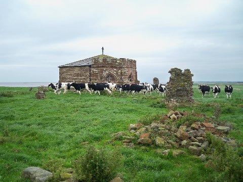 md_sunam_pic30.jpg - ..........and cattle grazing nearby (HD)