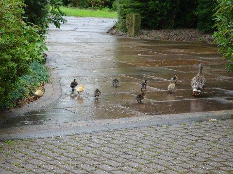 md_sunpm_pic35.jpg - ......but they decide that perhaps the history of the Hall is not for them!! (MD)