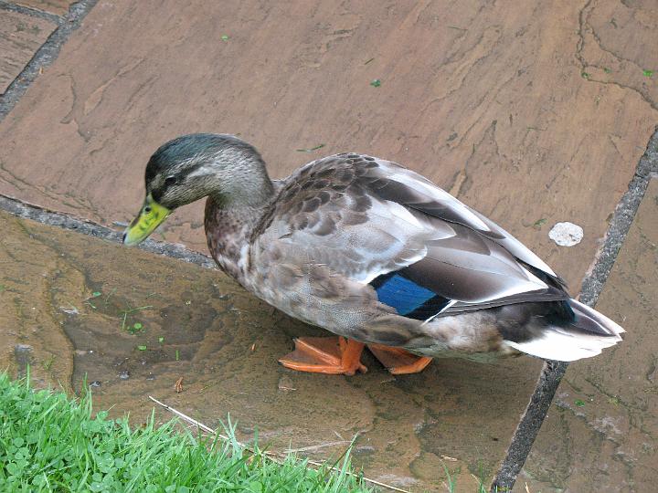 mi_sunpm_IMG_0428.jpg - I’ve heard enough! (MI)