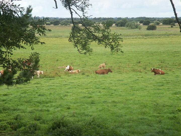 PICT0944.JPG - Clonmacnoise - the peaceful surrounding countryside (MD)