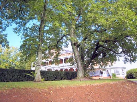 pat_satam_0379.JPG - Duntryleague House from the driveway (PD)